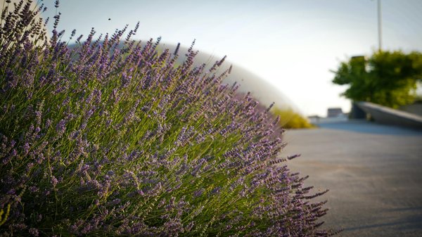 Equipamiento esencial para un hogar acogedor